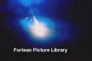   2254/WB  Fortean Picture Library